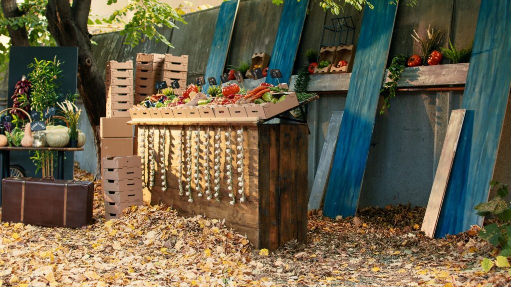 easy backyard DIY projects