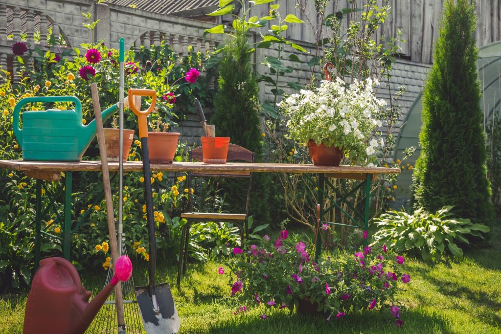 garden design ideas for beginners